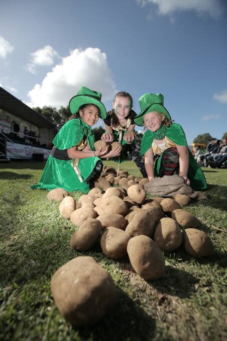 Sacha Rombo (left), 10, Zoe Ashton, 10, and Zoe Colless, 10, prepare for the spud picking competition. Picture: VICKY HUGHSON