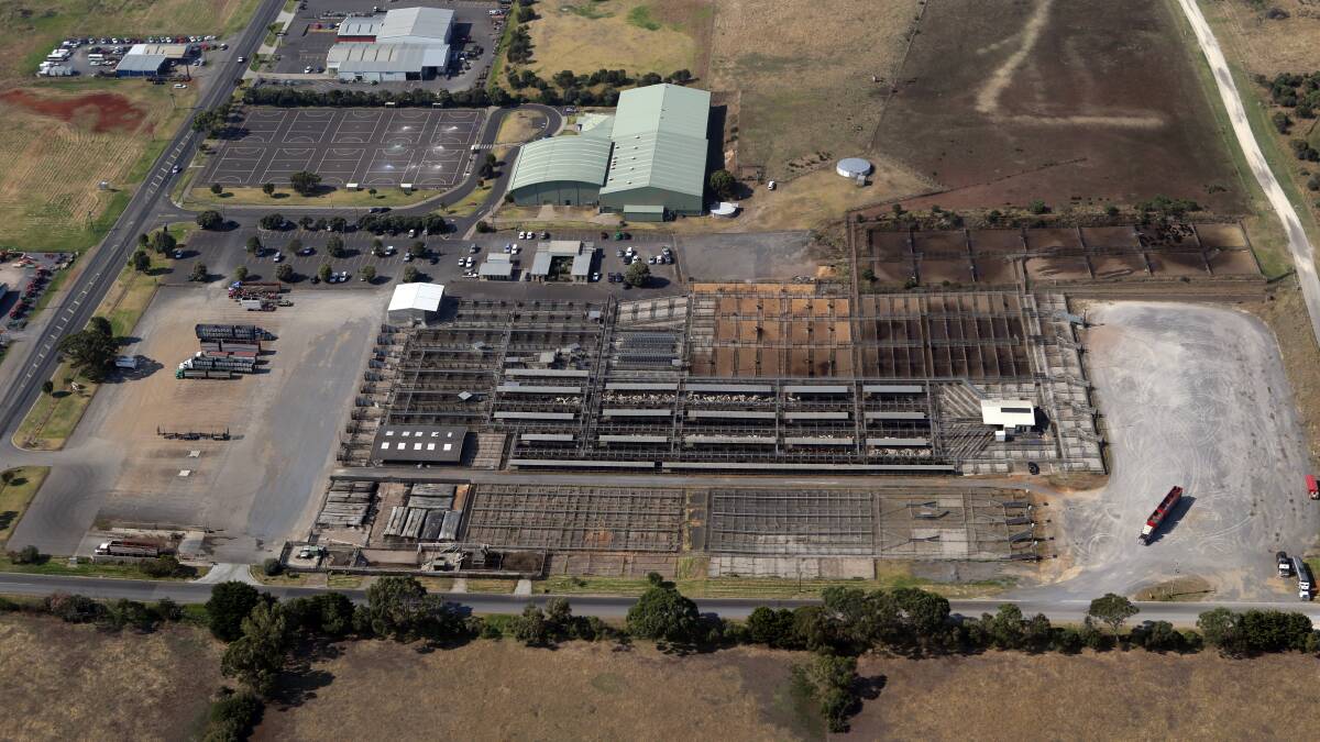 Separate campaigns are being waged by the Warrnambool City Council and Moyne Shire to attract commercial interest in building a new regional livestock selling centre. 