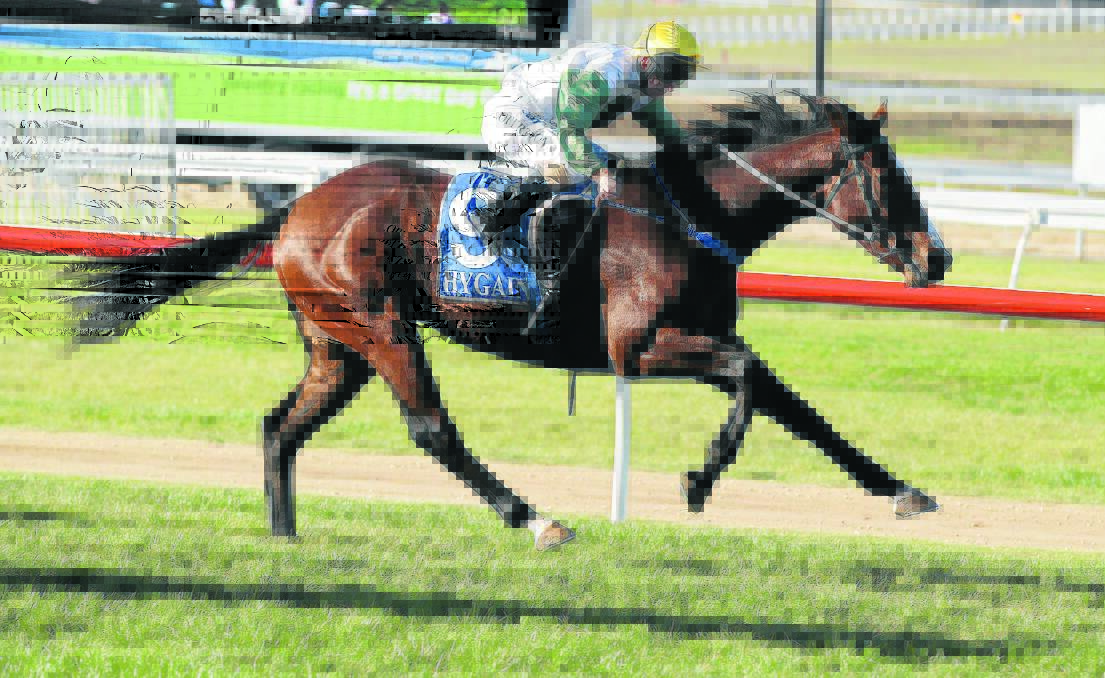Me Hungi, ridden by Craig Robertson, wins on the opening day of the 2013 May carnival. 