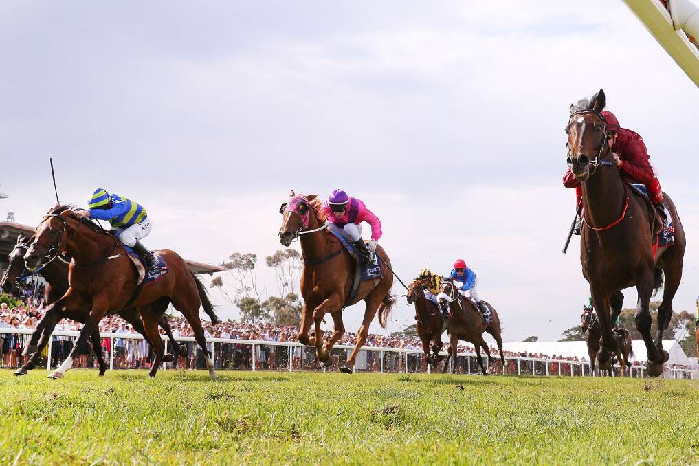 Marksmanship (left) fails narrowly to catch Caravan Rolls On (right) in the Geelong Cup. Picture: Getty Images