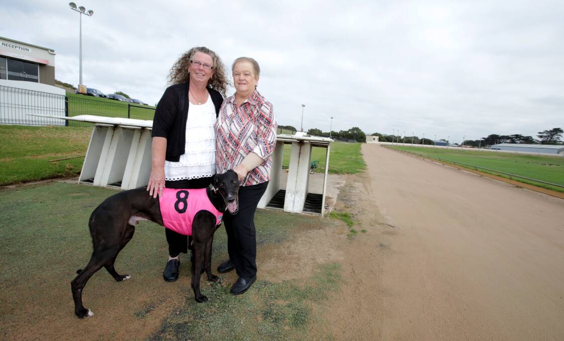 Cancer survivors Jenny Garner (left) and Lorraine Finn are backing the Go The Pink Dog fund-raiser.