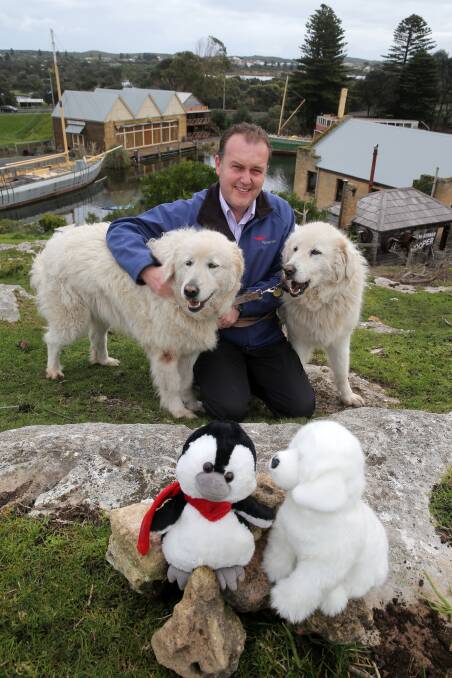 Flagstaff Hill Maritime Village manager Peter Abbott with the local Maremmas Tula (left) and Eudy (right) and the new stuffed toys that will be sold to help fund-raise for the Maremma program. 140814RG10 Picture: ROB GUNSTONE