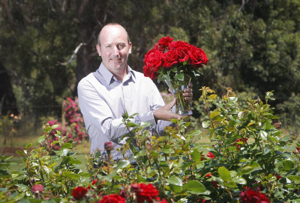 Gary Matuschka of Trelaor Roses displays the commemorative Gallipoli Centenary Rose. 141212AM28 Picture: ANGELA MILNE