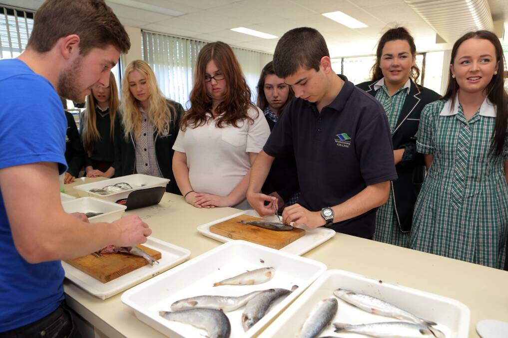 Deakin University marine biology honours student Lochie Hetherington (left) and Warrnambool College year 10 student Josh Hosking, 15, dissect an Atlantic salmon as part of activities at Deakin’s Experience Day. 141008LP17 
Picture: LEANNE PICKETT