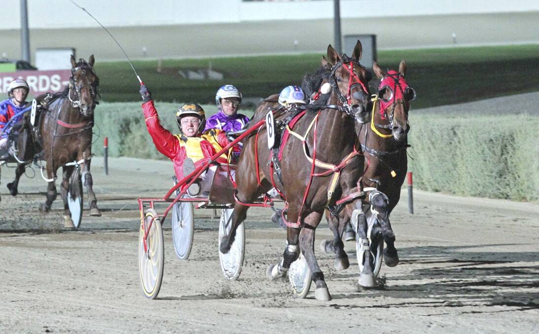 Jason Lee takes Jilliby Jitterbug to the line at Melton on Saturday night after early race setbacks. Picture: Stuart McCormick