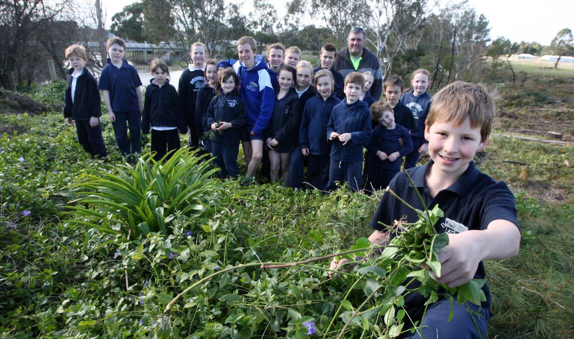 Panmure Primary School pupil, Billee Baxter, 11 (front), with his schoolmates at the former pine plantation which is earmarked for community use.  140818AS04 Picture: AARON SAWALL