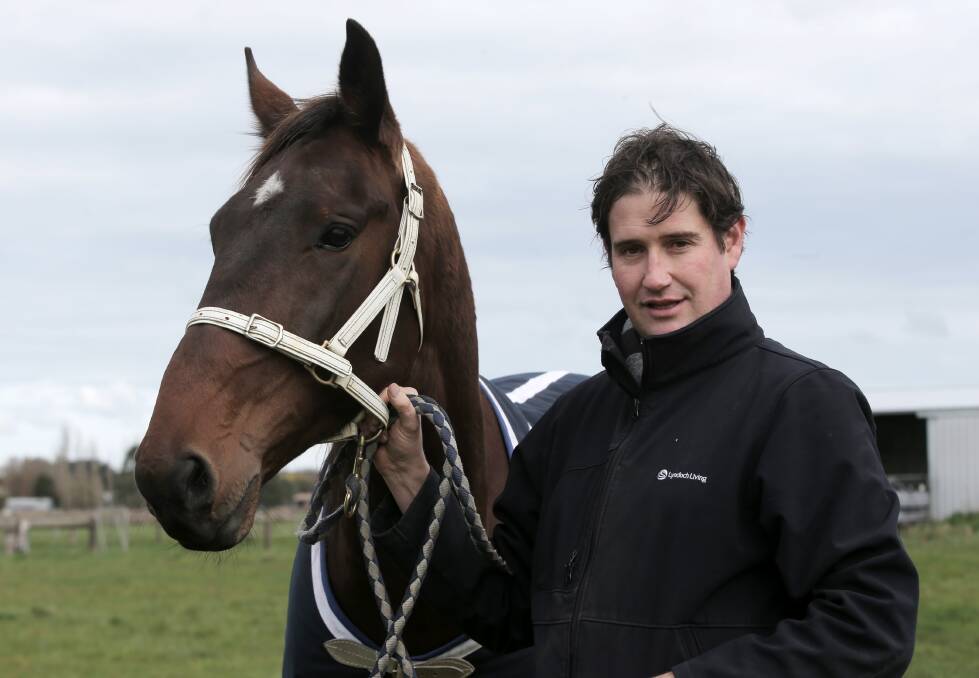 Young pacer Clark Griswold gets playful with Terang hobby trainer Tony Harrison in the paddock.   Picture: ROB GUNSTONE