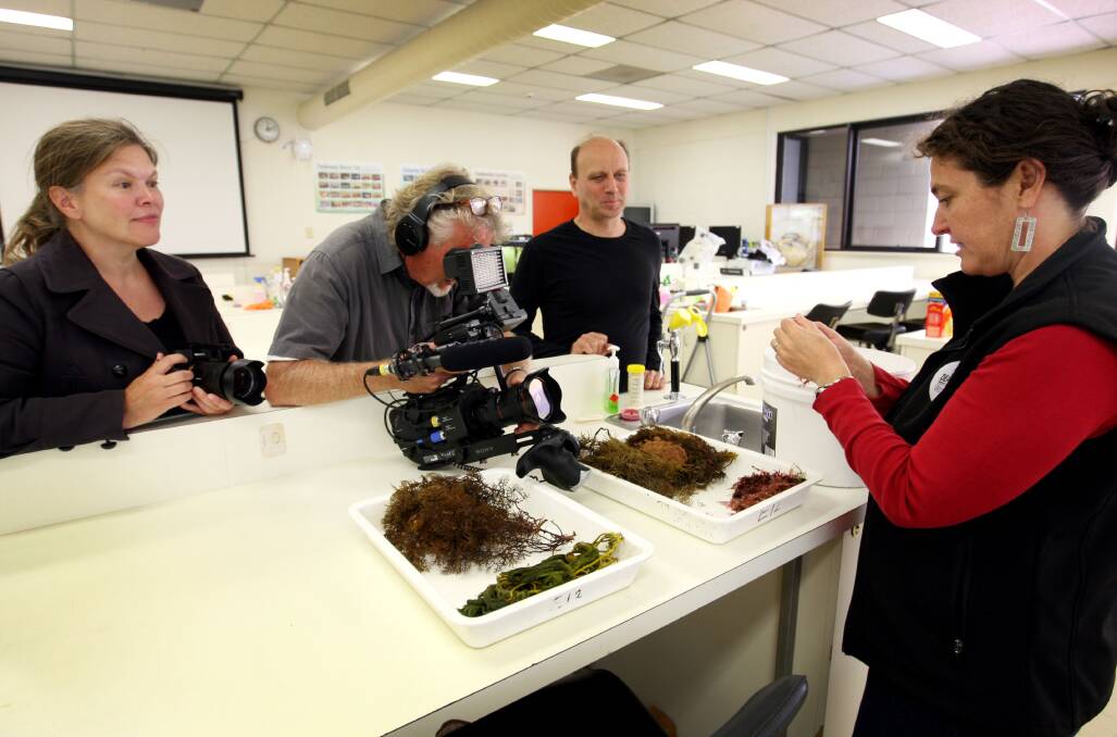 Deakin University senior lecturer of Marine Biology and Ecology Dr Alecia Bellgrove (right) talks about her edible seaweed project to German film crew  Sabine Pollmeier (left), Peter Zakharov and Joachim Haupt.
150123LP63  Picture: LEANNE PICKETT
