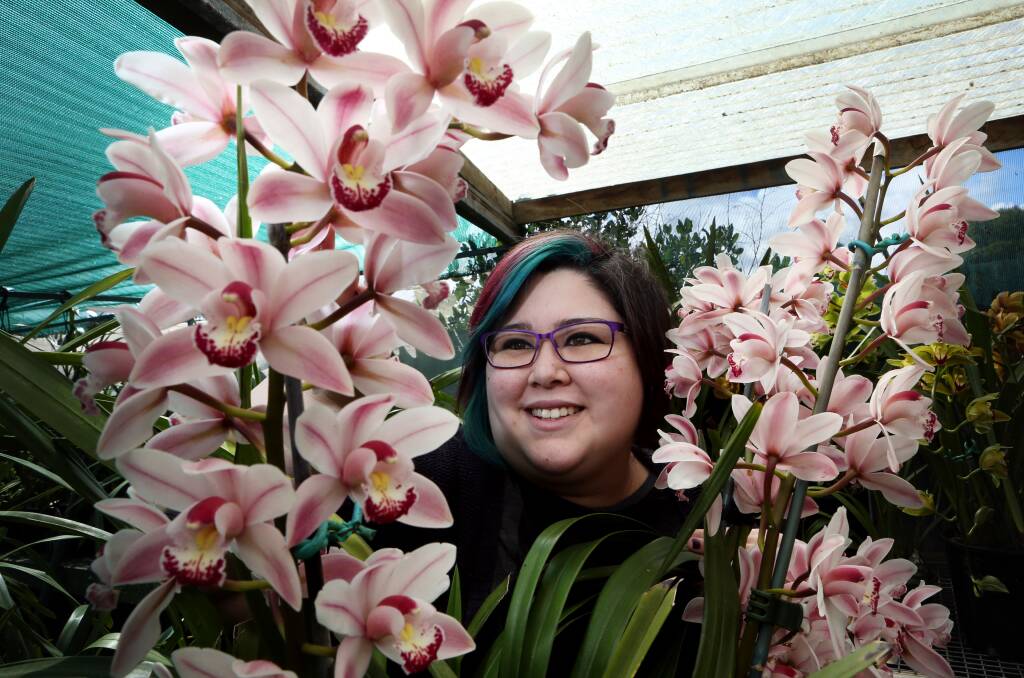 Warrnambool’s Anna Azzopardi gets a sneak peek at some of the orchids on show this weekend. 140919LP45  Picture: LEANNE PICKETT