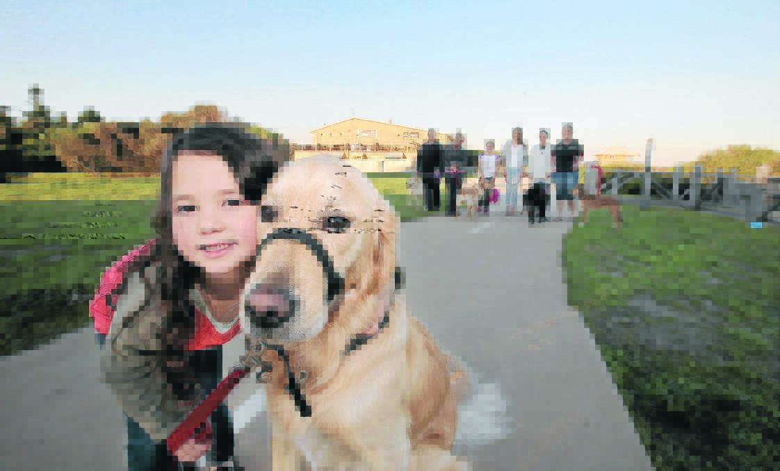 Warrnambool Million Paws Walk supporters include Ava Dempsey, 4, with Fletcher the Golden Retreiver. 
