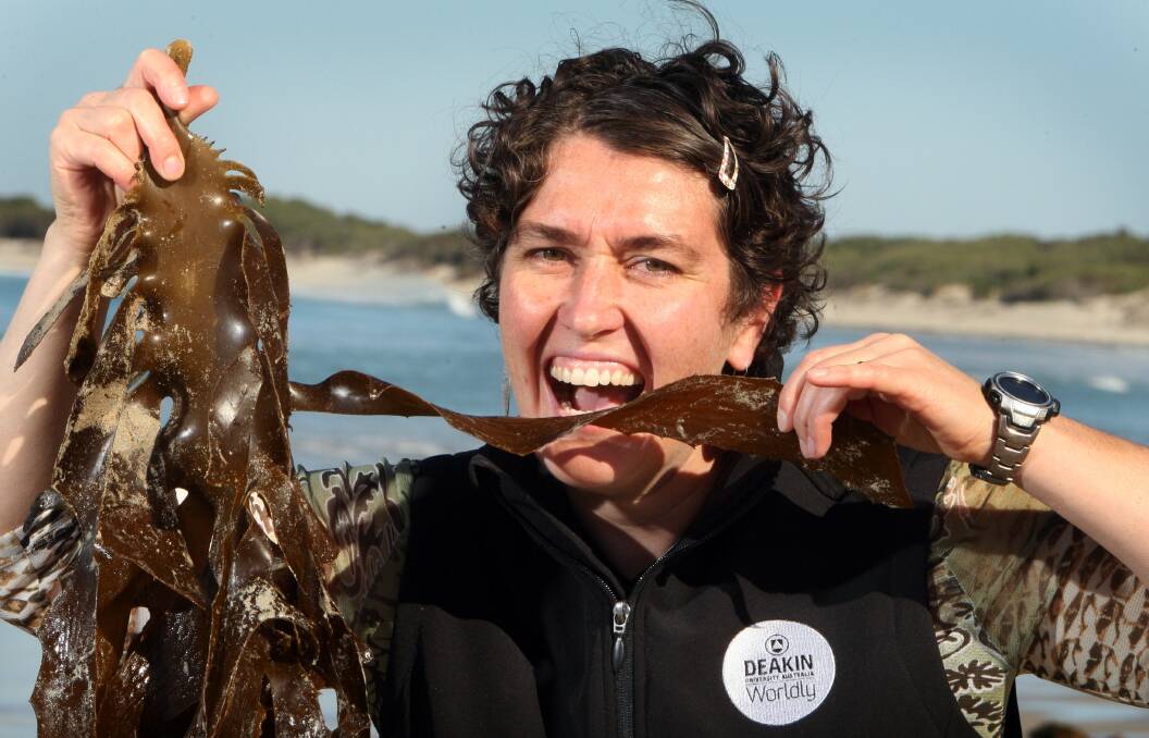Deakin University Warrnambool marine biologist Dr Alecia Bellgrove has found success in researching edible seaweed along the coast, but needs funding to expand the project.130509LP06 Picture: LEANNE PICKETT