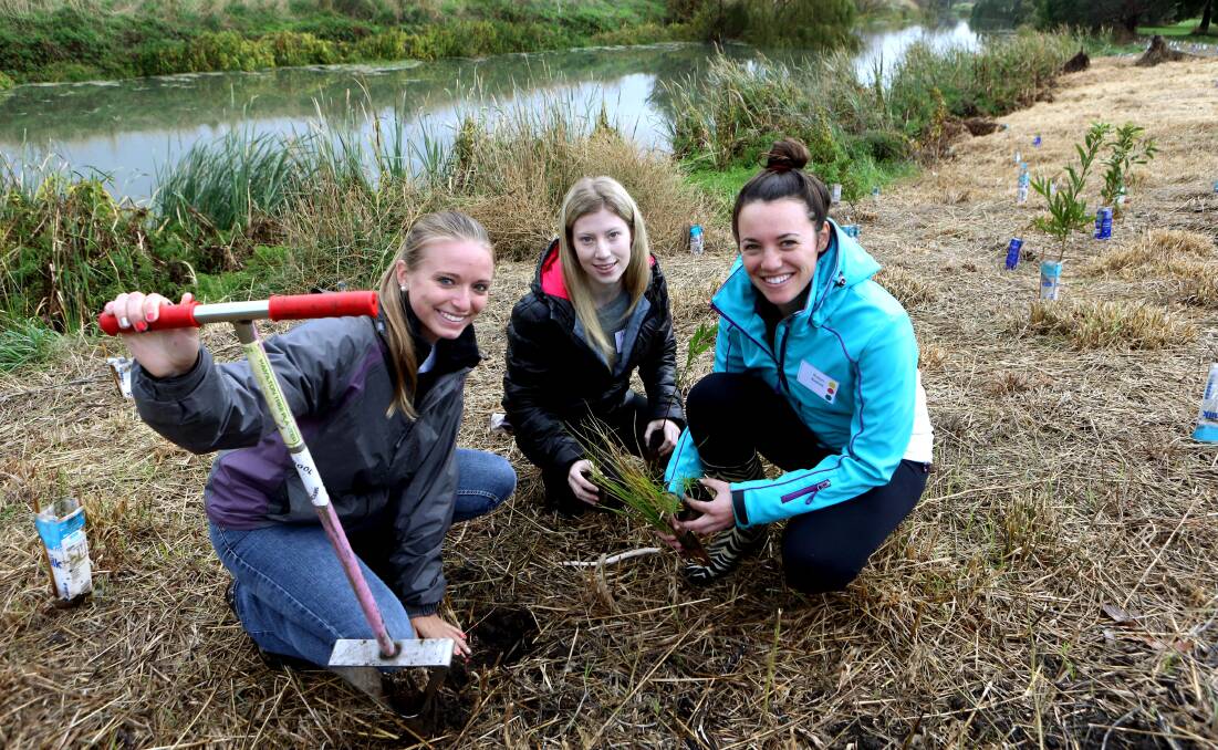Katherine Hausmann (left), from the United States and studying at Deakin, Melbourne’s Aurora Crombie and Warrnambool’s Robyn Xuereb plant trees along the Merri River.  