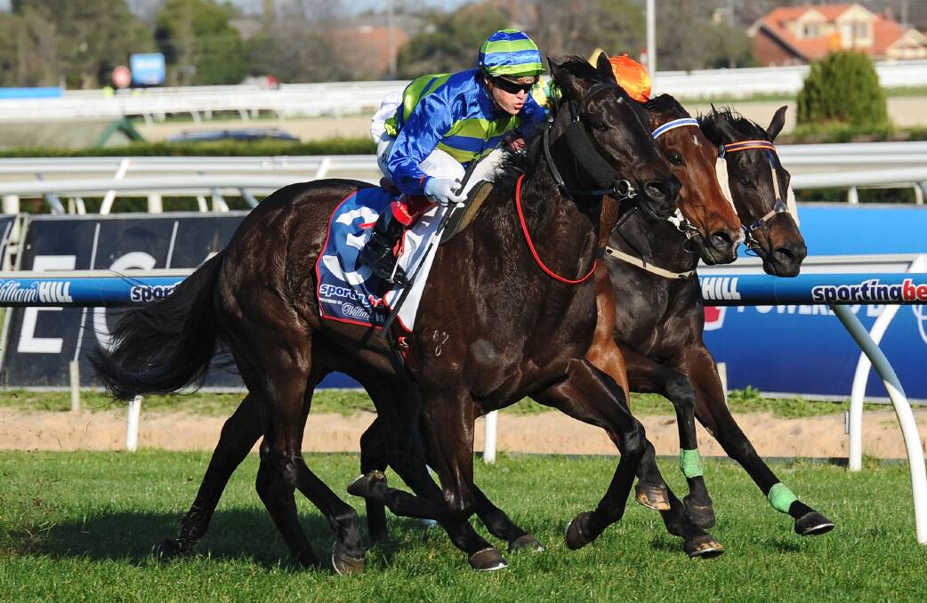 Jockey Craig Williams urges Gregers to victory in the group 3 Spring Series Stakes at Caulfield. Picture: GETTY IMAGES