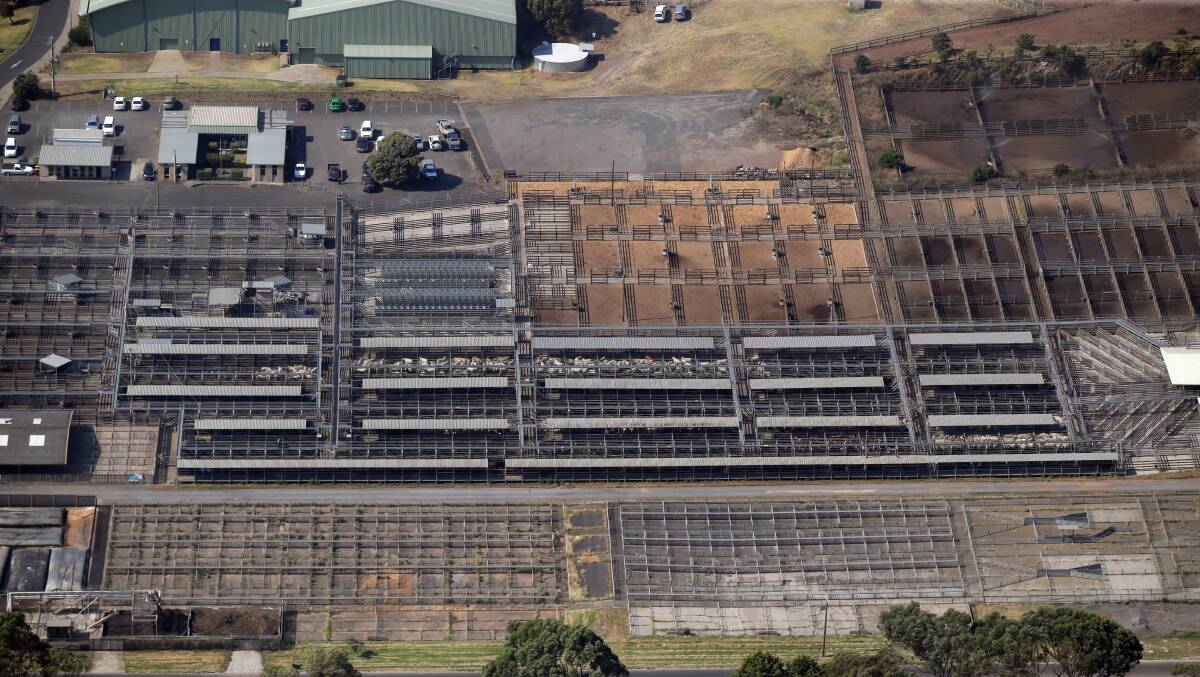 New regional saleyards would service not only the Warrnambool and Corangamite municipal areas but also Moyne and Colac Otway shires. Pictured are the Warrnambool saleyards.