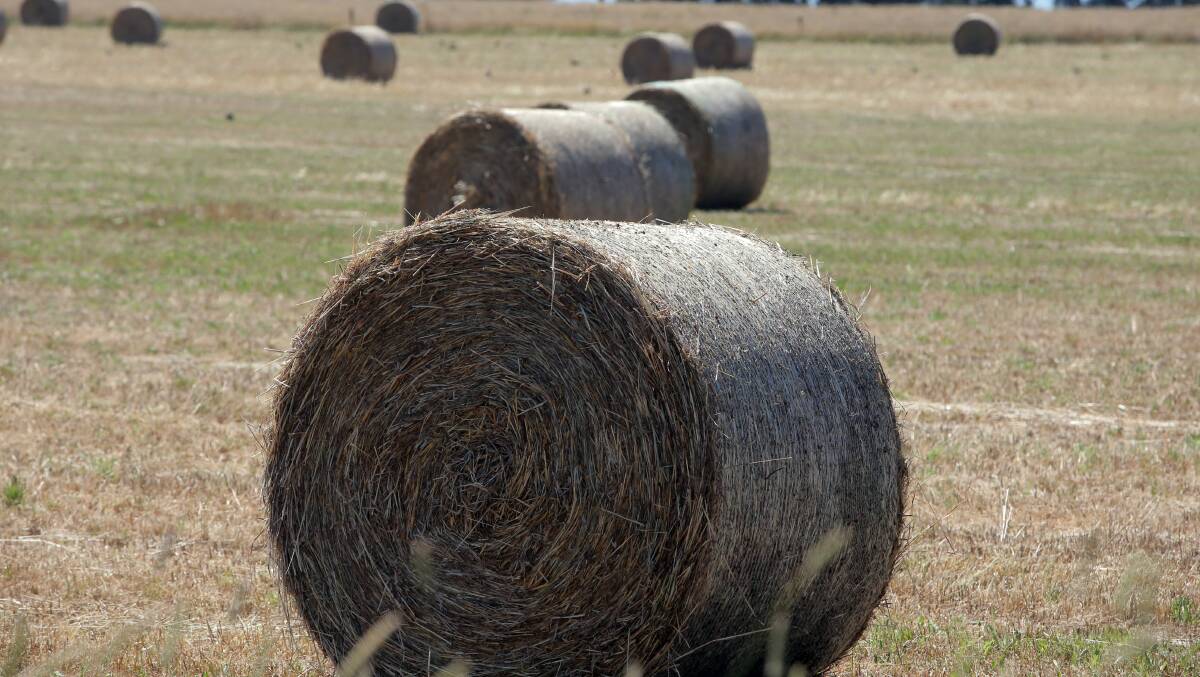 Timboon residents picked up six hay bales which fell from a passing truck on Friday evening.