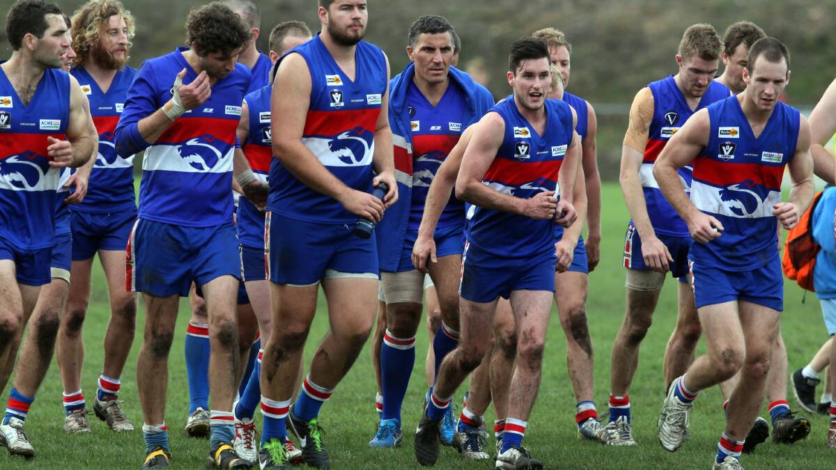 WDFNL VIDEO: Can anyone catch the Bulldogs?