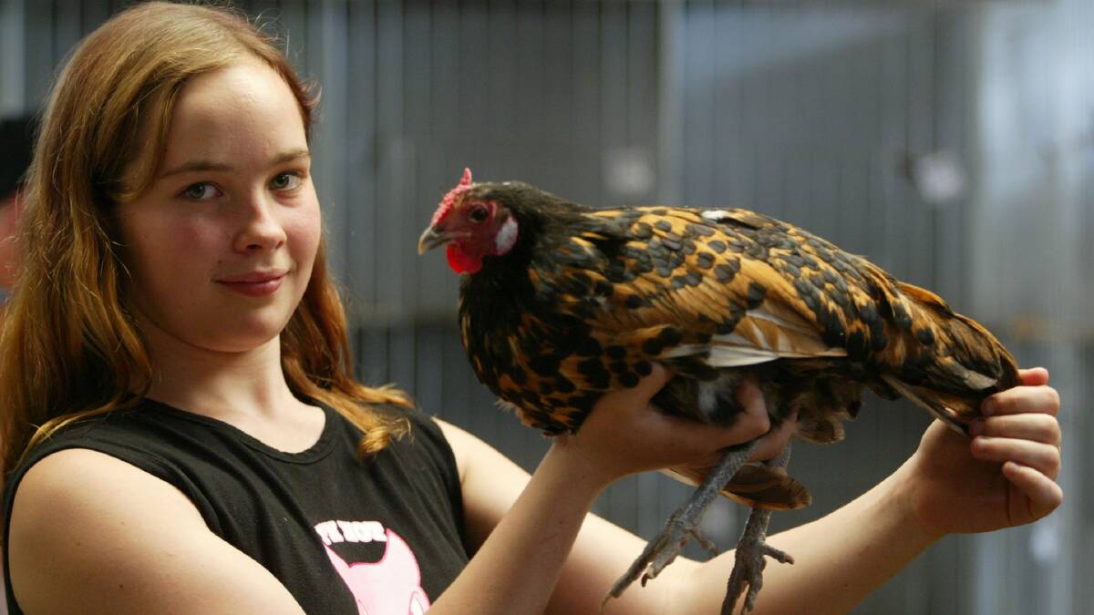 Jessica Macloy, 14, from Timboon with her Gold Spangled Hamburgs which she bought at the poultry auction in Warrnambool 