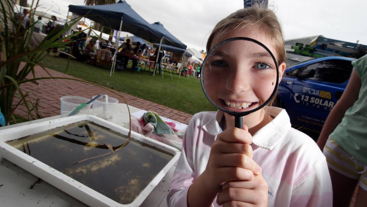 Madison Colbert, 9, from Horsham looking at small life from Merri River fun interactive store.