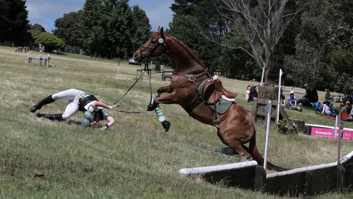 Cecil Red, ridden by Ashleigh Westcott,stumbles out of the water in the cross country, during the Camperdown 3 Day Event. Picture; ROB GUNSTONE. 