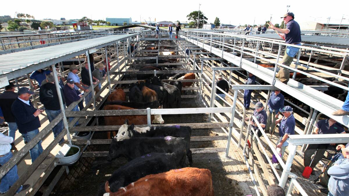 It is rumoured Regional Infrastructure Pty Ltd is going to manage the existing saleyards facility from July 1.