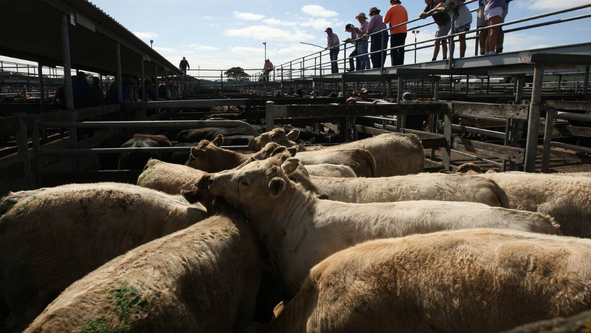 Warrnambool City Council has called for a fresh round of expressions of interest for a new livestock exchange to be located.