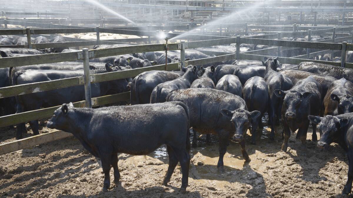 Warrnambool stock agents last week expressed concern that RIPL might take over the saleyards from that date, saying they had not been consulted by the council on the move.