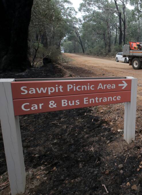 Sawpit picnic and camping area in the Mount Clay State Forest.
