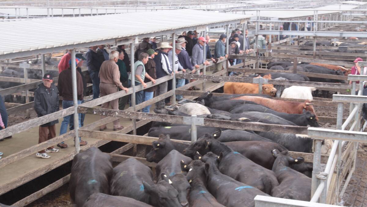Corangamite Shire's moves to get a regional saleyards follow Warrnambool City Council's efforts earlier this year, which aroused strong opposition from the Warrnambool Stock Agents Association and sections of the farming community.