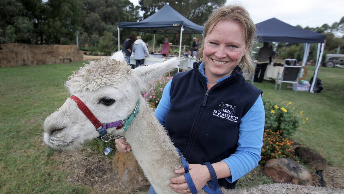 Alpaca Expo organiser Isabel Renters, from the MDL XXX stud and Farmshop 1580, with an alpaca. Picture: ROB GUNSTONE