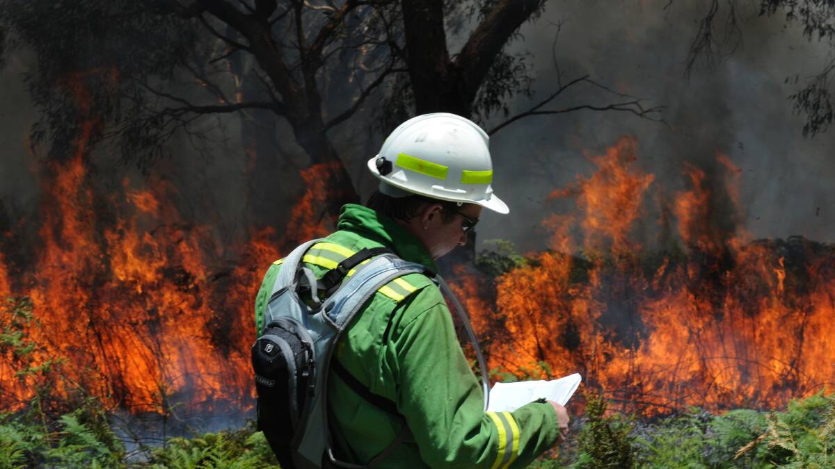 The Mount Leura and Mount Sugarloaf Management Committee will work with the CFA to burn a small area on the northern side of the Mount Leura reserve.