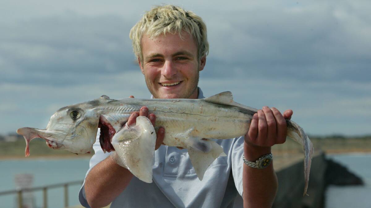 Chris Mitchem, 18, from Warrnambool with a just under 3kg and 88cm elephant shark, caught at the end of the breakwater.