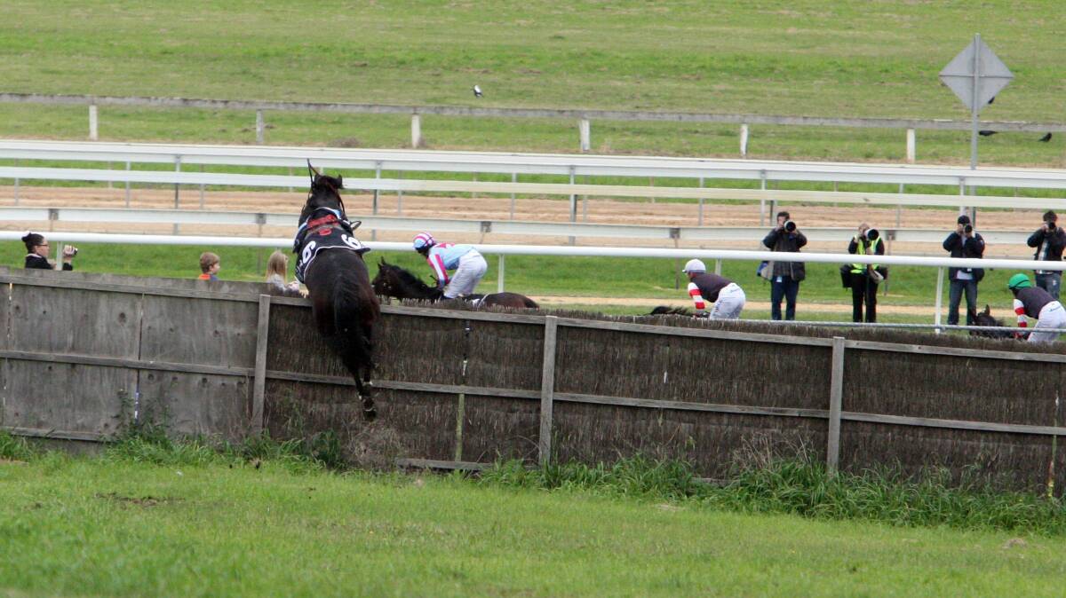 Banna Strand going over a fence at Tozer Road and into the crowd of onlookers at Warrnambool in 2011. 