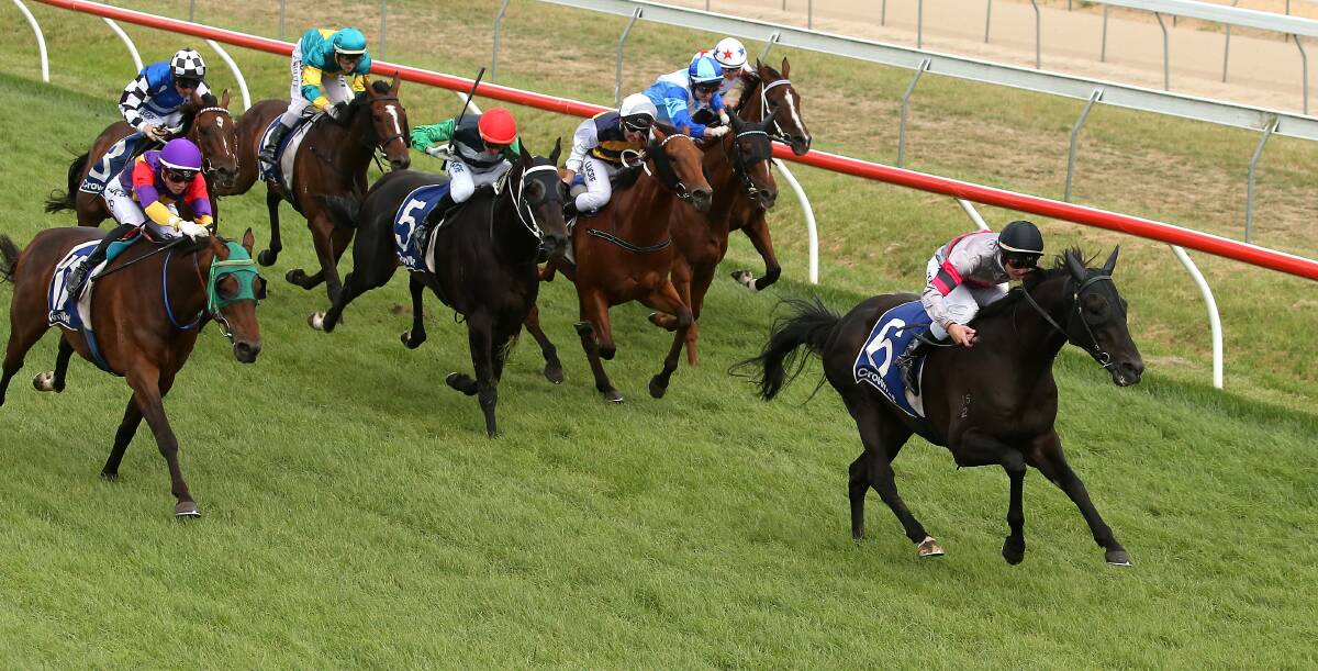 WINNER: Patch Adams leads the field home in Sunday's Colac Cup. Picture: Pat Scala/Getty Images