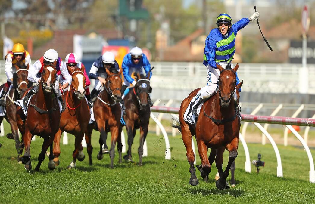 STRONG HOPE: Ciaron Maher-trained Jameka, pictured during her Caulfield Cup win, is among the favourites for the Melbourne Cup. Picture: Scott Barbour