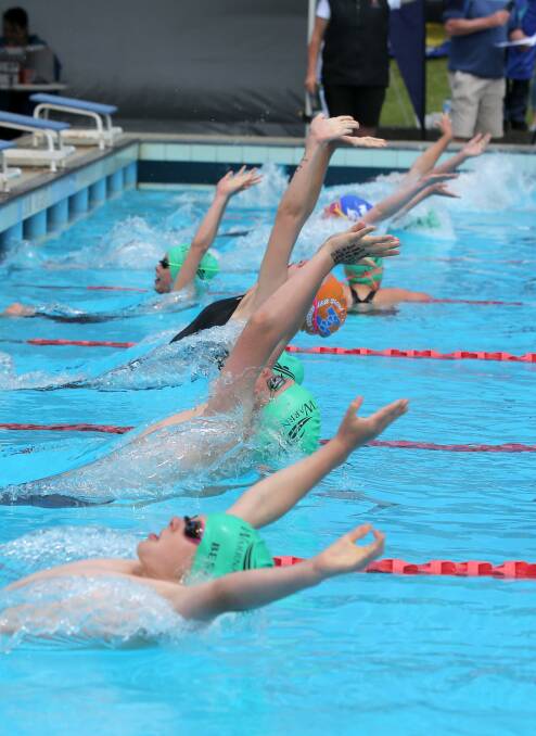 NUMBERS: Warrnambool had 74 swimmers compete in a long course meet.