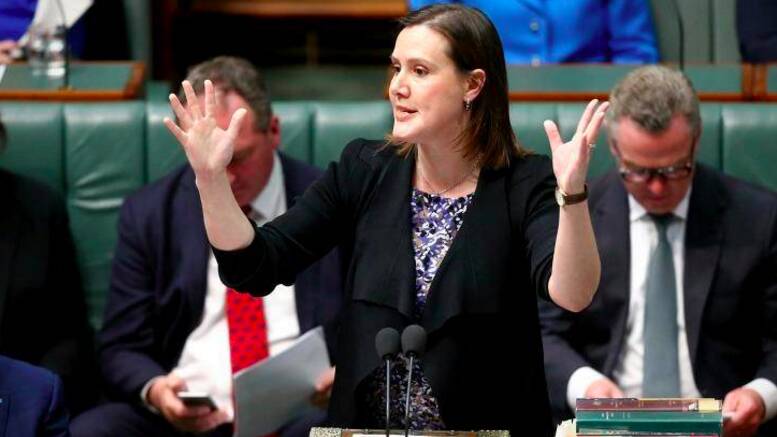 Minister for Revenue and Financial Services Kelly O'Dwyer has been blamed for the error. Photo: Alex Ellinghausen