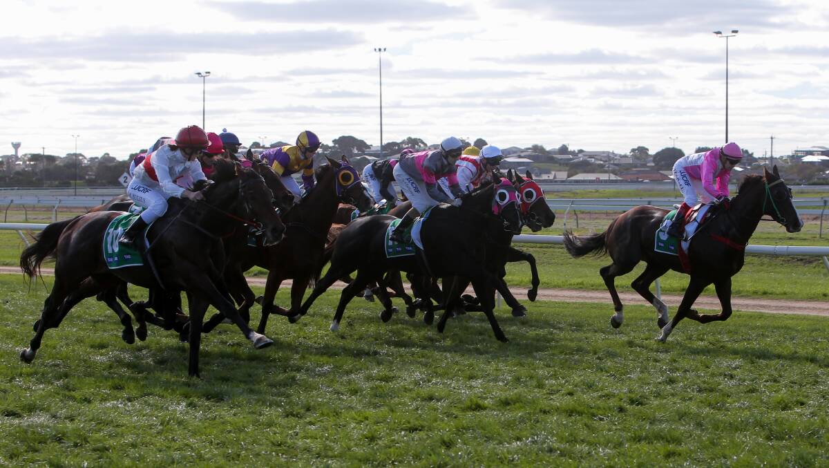 ELECTION: The Warrnambool Racing Club committee will hold its first election in more than 18 years. Picture: ROB GUNSTONE