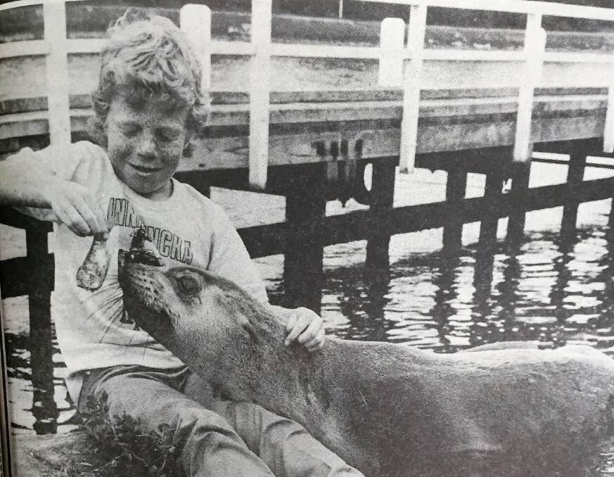 MATES: Shaun Ploenges feeds a seal a fish along the Moyne River in Port Fairy back in 1989. It is believed the seal had come into the wharf area to recover from an injury.