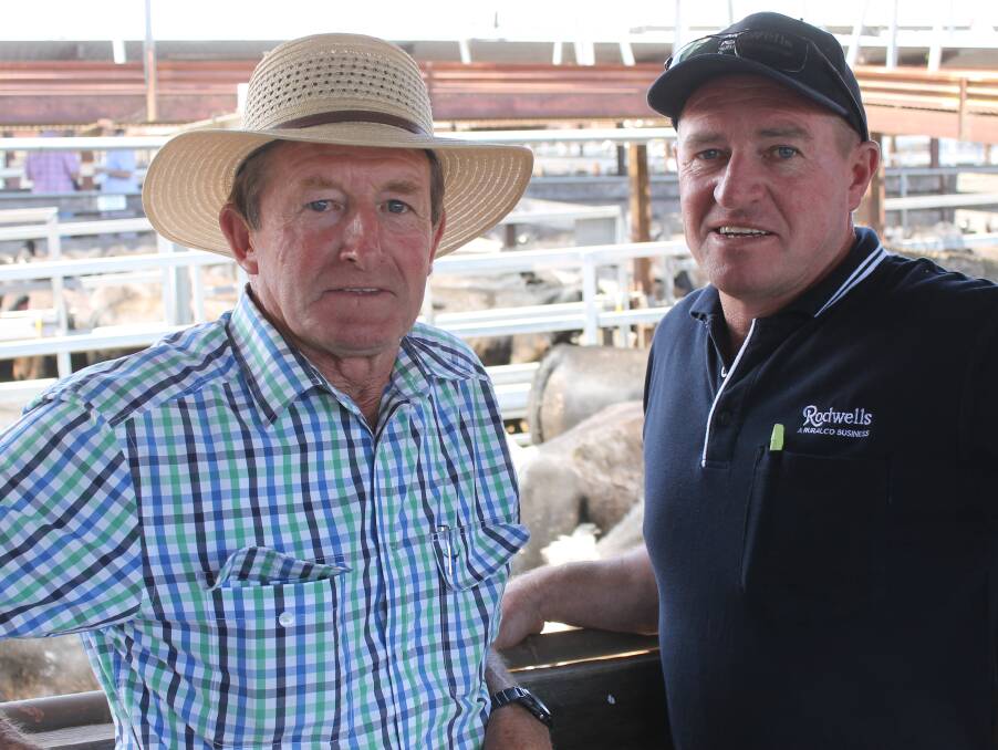 Keith Diprose, Romsey, with Kilmore agent Peter Lenahan, sold 77 Angus at Hamilton for better than expected results, with their heaviest pen, 370kg, selling at 377c/kg or $1395 a head.