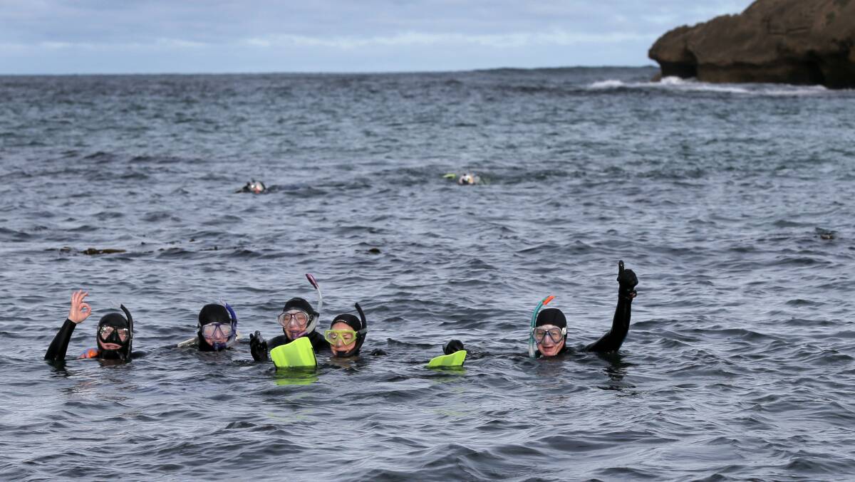 Deakin University marine science students during an outing in Warrnambool's Stingray Bay. 