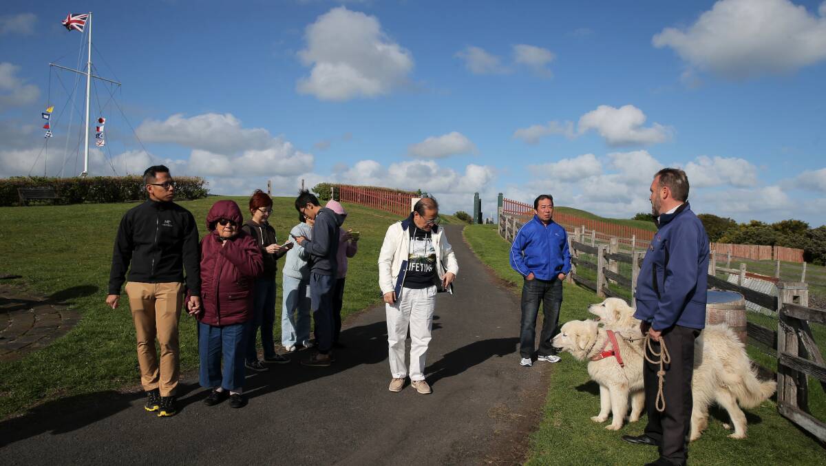 Flagstaff Hill manager Peter Abbott introduces maremma guardian dogs Eudy and Tula to a group of tourists. Picture: Rob Gunstone