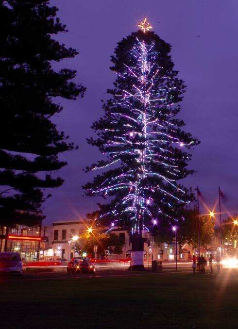 DECK THE HALLS: The switch was flicked on Warrnambool's Norfolk Island Pine Christmas tree on Friday, kicking off festive season celebrations.