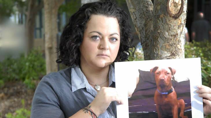 Hopeful: Jade Applebee has been granted leave to appeal Monash Council's decision that her pet is an American Pitbull Terrier and should be destroyed. Photo: Rob Carew
