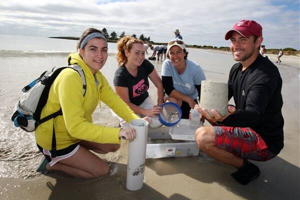 Michigan State University student Gina Sellinger, left, Deakin University student Claire Jinnette, senior lecturer Dr Alecia Bellgrove and Kevin Krom from the University of Wisconsin take sand samples at Griffiths island beach near the Moyne River mouth.