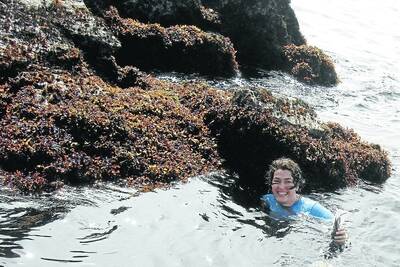 Researcher Alecia Bellgrove collects seaweed samples from the Japan coastline during her study tour.