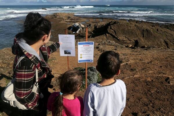 Vanessa Aghdassi and her children Carmel, 6, and Arie, 9, from Ballarat, were among the crowds who came to see the humpback whale carcass laying on the rocks at Shelly Beach. 