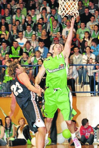 Seahawk Cameron Mitchell will train with the Melbourne Tigers next week. 110820LP83