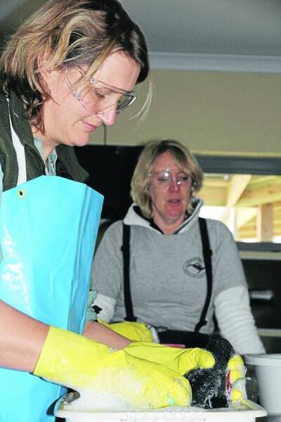 DSE's Leona Waldgrave-Knight (front) and Mandy Watson (back) learn about how to wash penguins if there was an oil spill