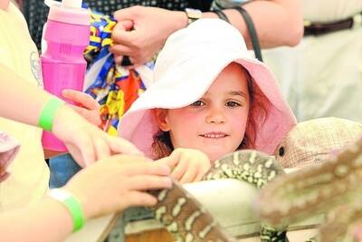 Jessica Humphries, 5, from Warrnambool, meets a snake at Port Fairy Show. 091107AS04