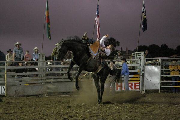 Rodeo bounces back